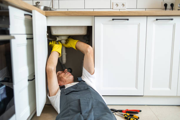 Best Plumbing Services Near Me  in Lansing, KS